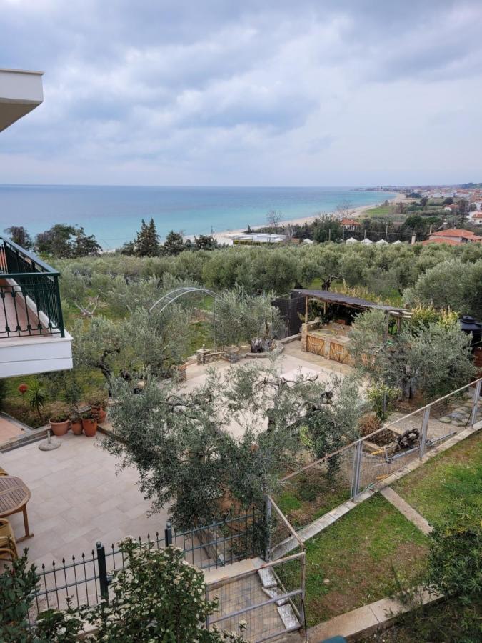 Cozy Apartment Fantastic View 네아 모우다니아 외부 사진